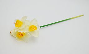 Narcis 4 květy 42cm bílý