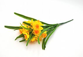 Narcis 5 výhonků 37cm žlutý